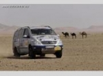 В Rallye des Gazelles только девушки В Rallye des Gazelles только девушки