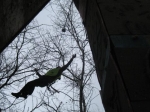 Степаныч - 2008 Степаныч - 2008