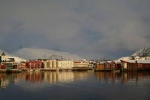       Lofoten Women