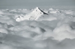  Red Fox Elbrus Race  