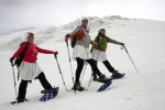      Red Fox Elbrus Race 2010. :  