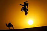Red Bull X-Fighters 2010:     