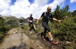  2010      .  transalpine-run.com